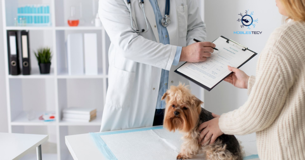 Common Uses and Legal Considerations